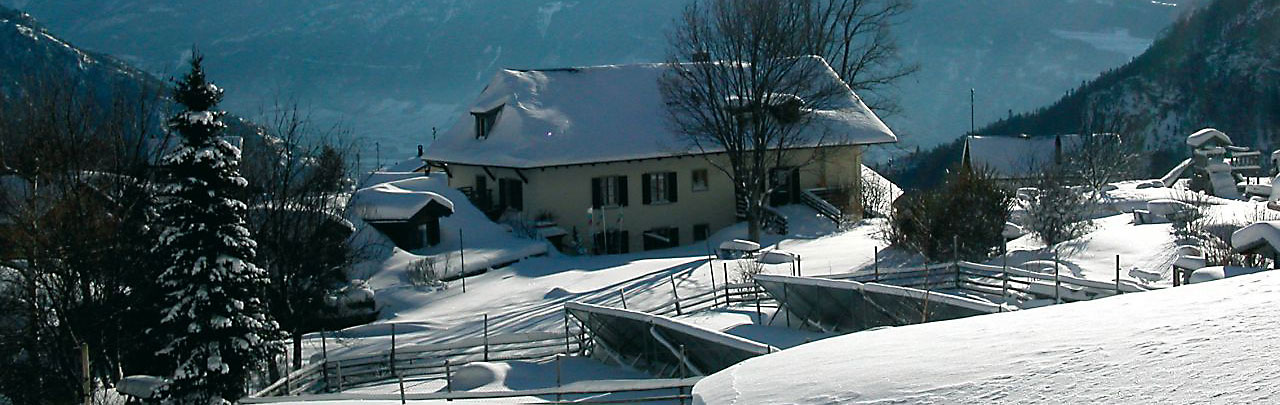 Hotel-Balance-winter