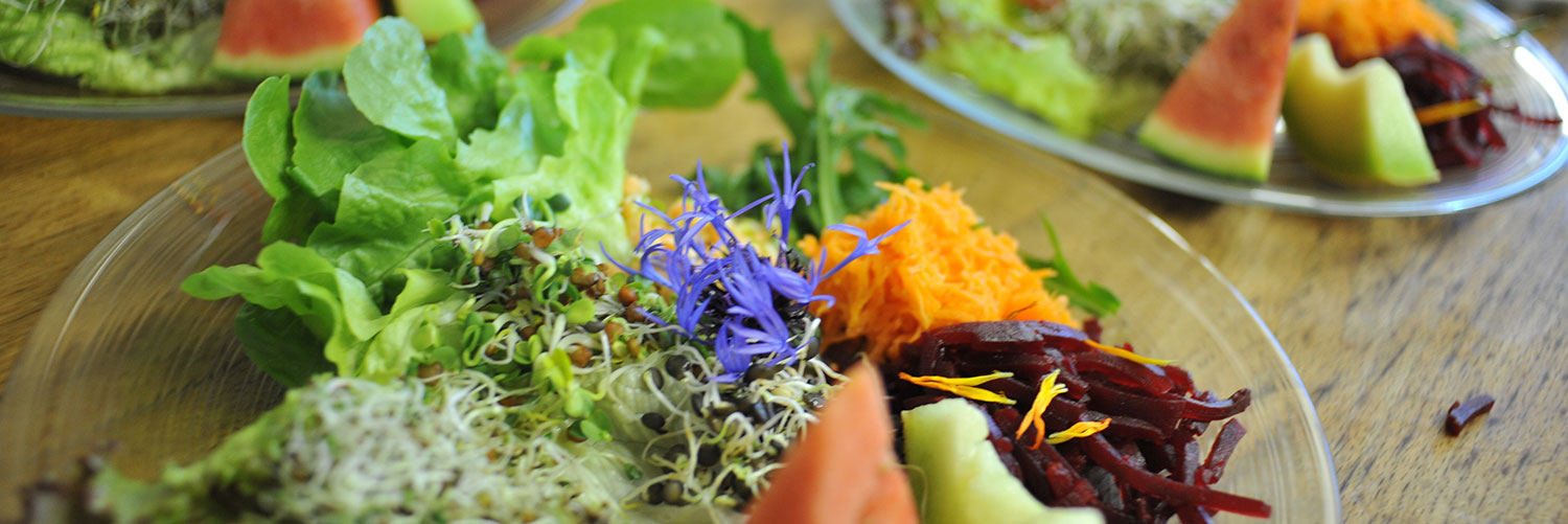 Hotel-Balance_Restaurant_Banner