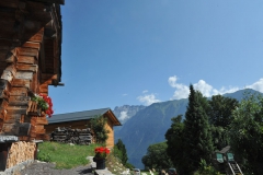 Hotel-Balance_6411