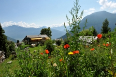 Hotel-Balance_6562