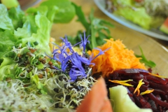 Hotel-Balance_Restaurant_Banner