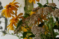flower1
